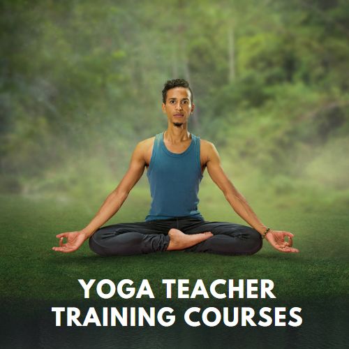 Yoga Teacher Training Courses