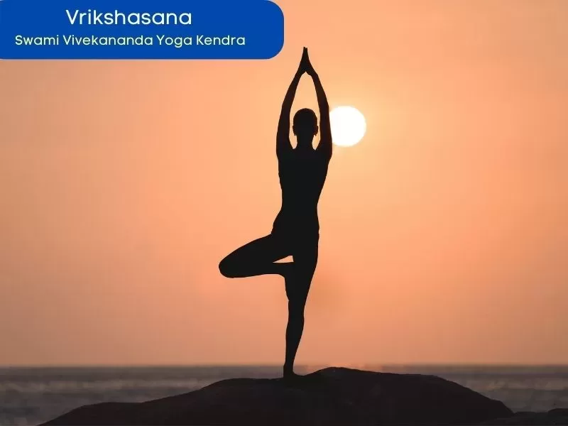 Vrikshasana-hatha yoga asanas