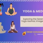 sitting yoga asanas images with names