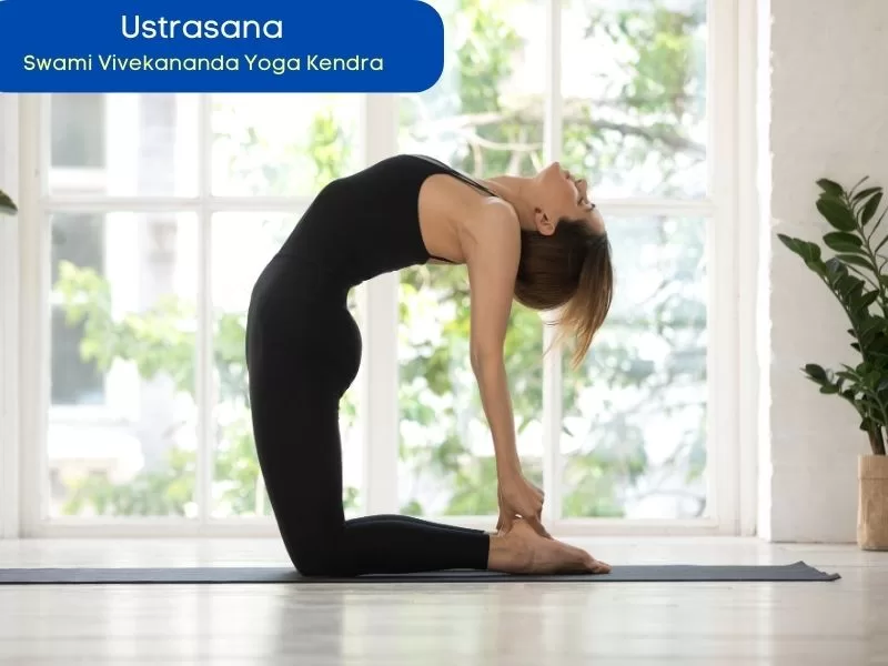  Ustrasana: Camel Pose