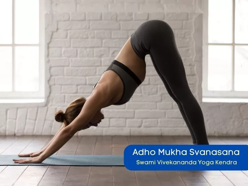 Adho Mukha Svanasana