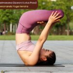 Urdhva Padmasana (Upward Lotus Pose)
