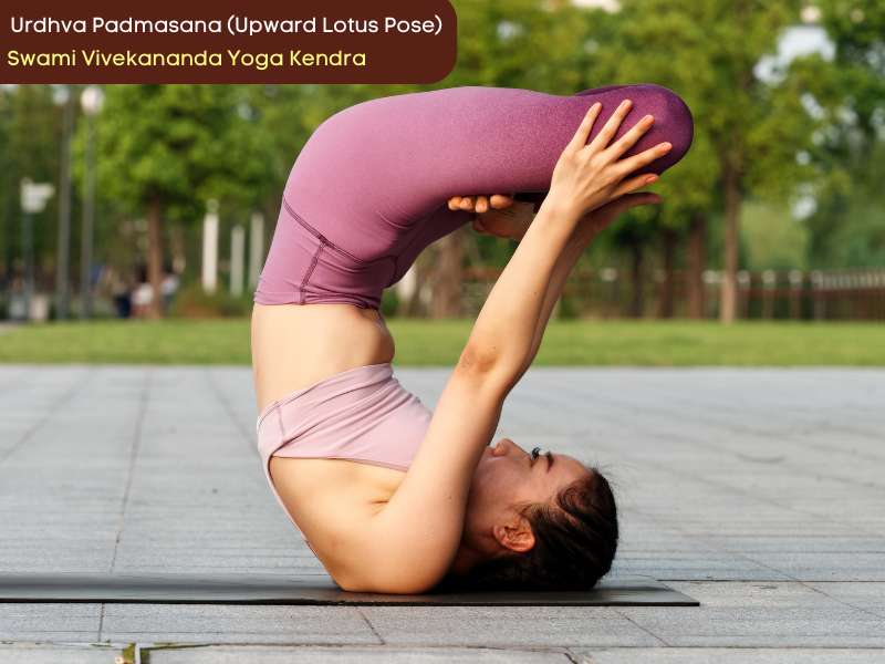 Urdhva Padmasana (Upward Lotus Pose)